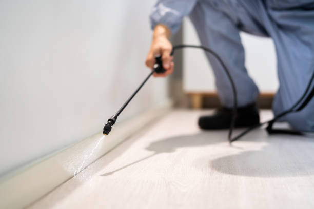 Licensed Pest Control service in Holgate, OH - Show Me Pest Control
