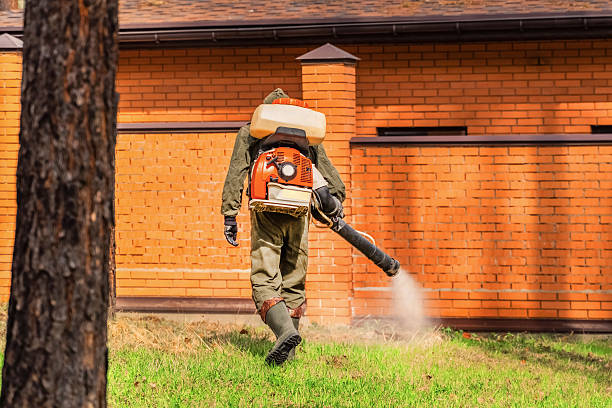 Bed Bug Clearance Verification and Documentation in Holgate